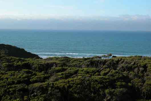 128Farewell Spit.JPG (reduit)